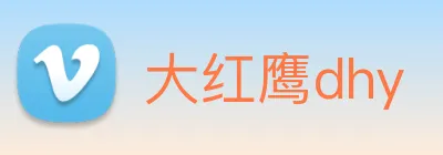 大红鹰dhy Logo